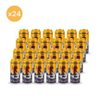 Pack x24 Cerveza Patagonia Red Lager 470 cc