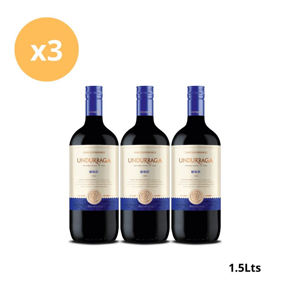 Pack 3x Vino Undurraga Aliwen